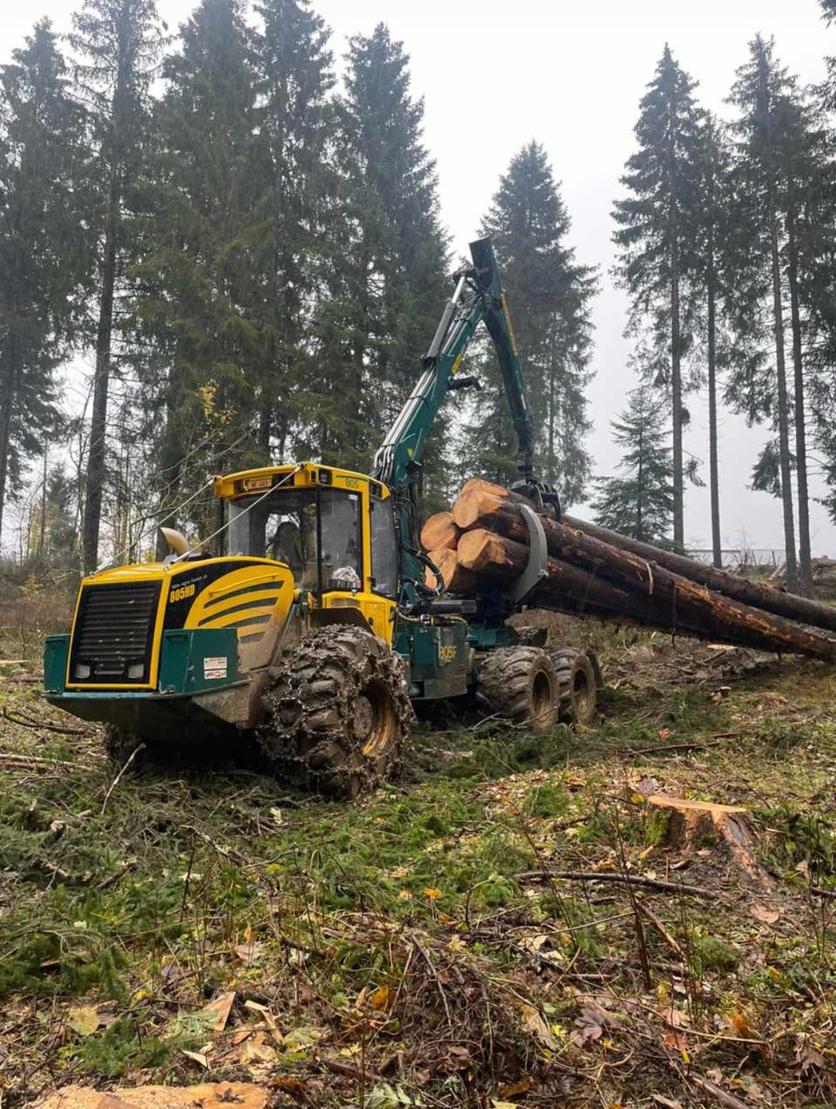 Débardage de bois dans le Jura — SAS POLYVIER